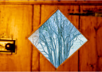Wooden door with glass